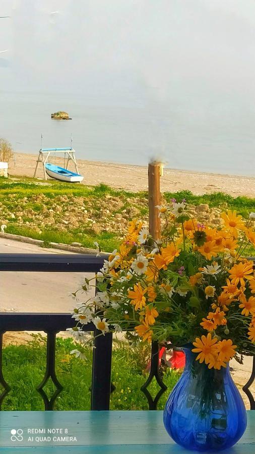 Socrates Sea View Διαμέρισμα Kampos Marathokampou Εξωτερικό φωτογραφία