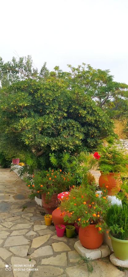 Socrates Sea View Διαμέρισμα Kampos Marathokampou Εξωτερικό φωτογραφία