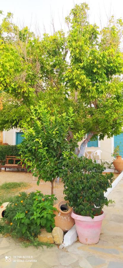 Socrates Sea View Διαμέρισμα Kampos Marathokampou Εξωτερικό φωτογραφία